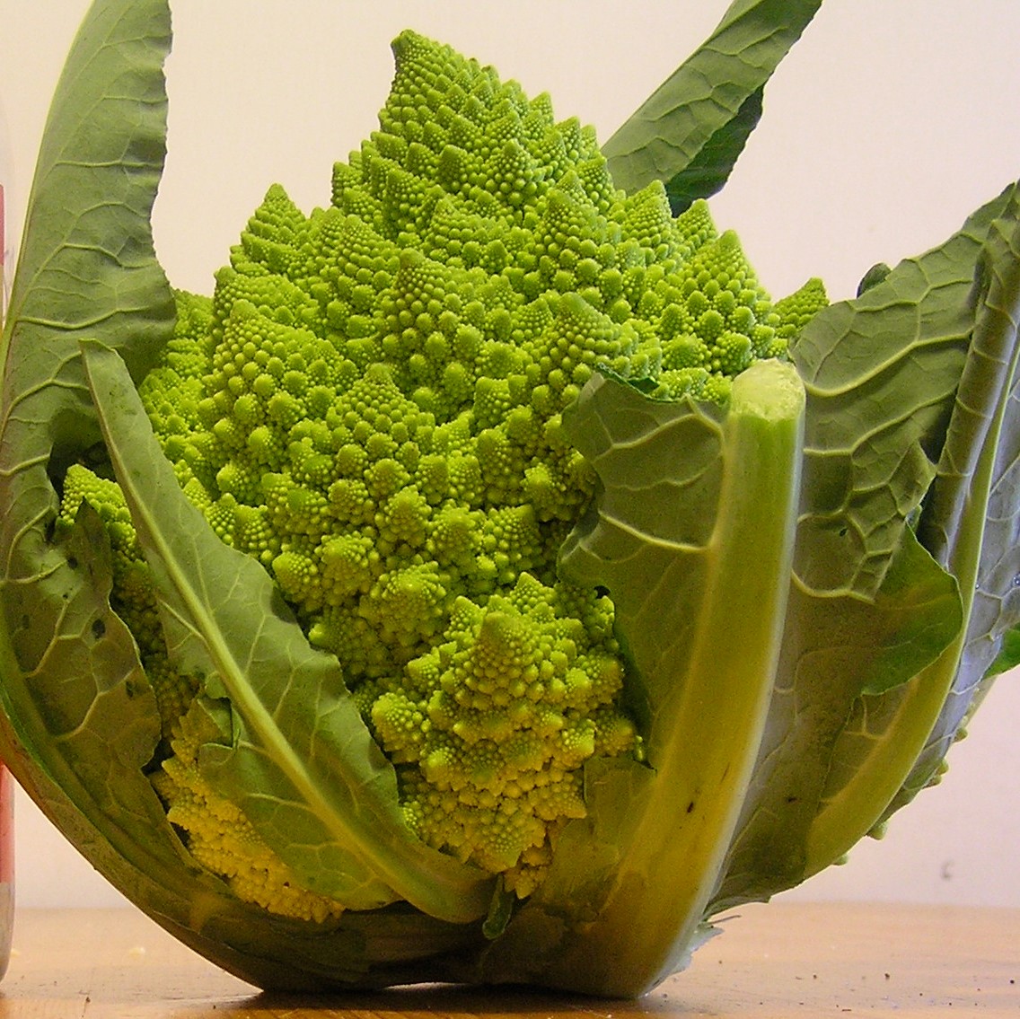 Broccolo romanesco Sapori di Capolavia